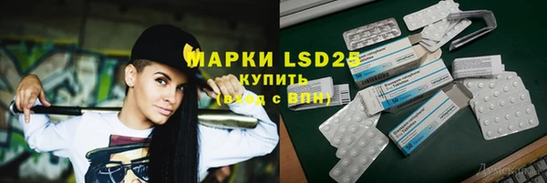 ГАЛЛЮЦИНОГЕННЫЕ ГРИБЫ Баксан