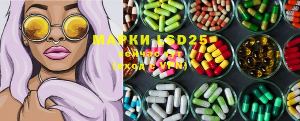 ГАЛЛЮЦИНОГЕННЫЕ ГРИБЫ Баксан