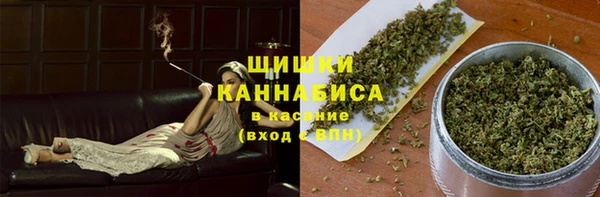 ГАЛЛЮЦИНОГЕННЫЕ ГРИБЫ Баксан