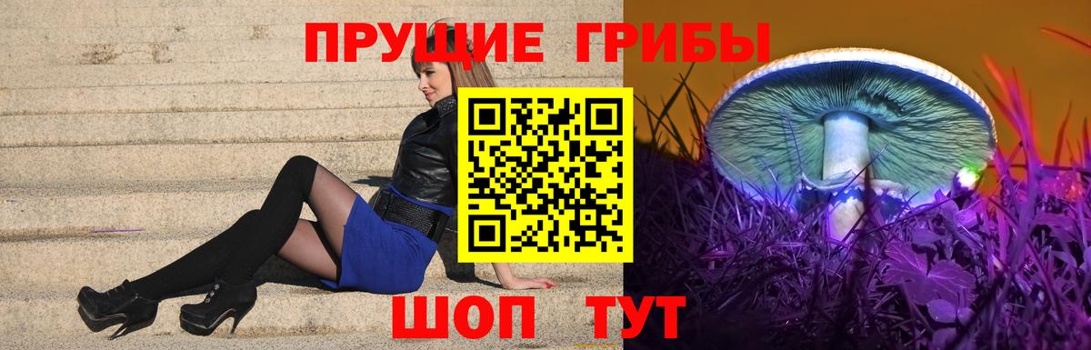 Псилоцибиновые грибы GOLDEN TEACHER Белая Калитва